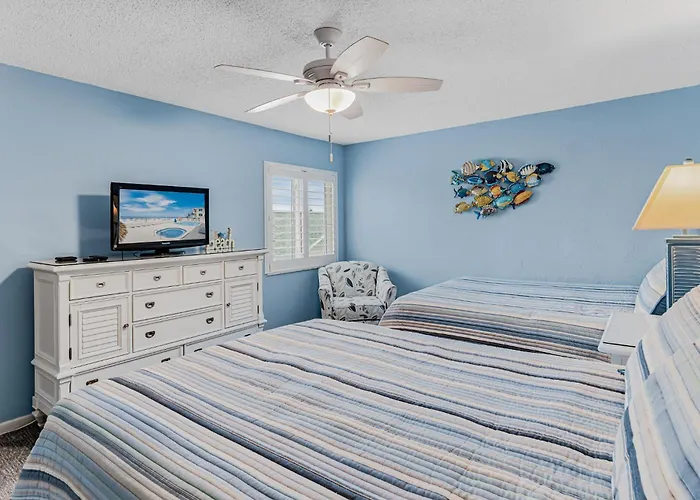 Dollar 311 Apartment