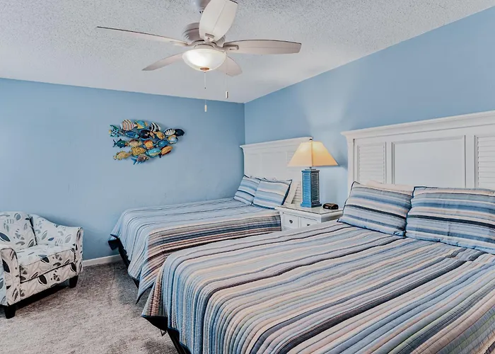 Dollar 311 Clearwater Beach