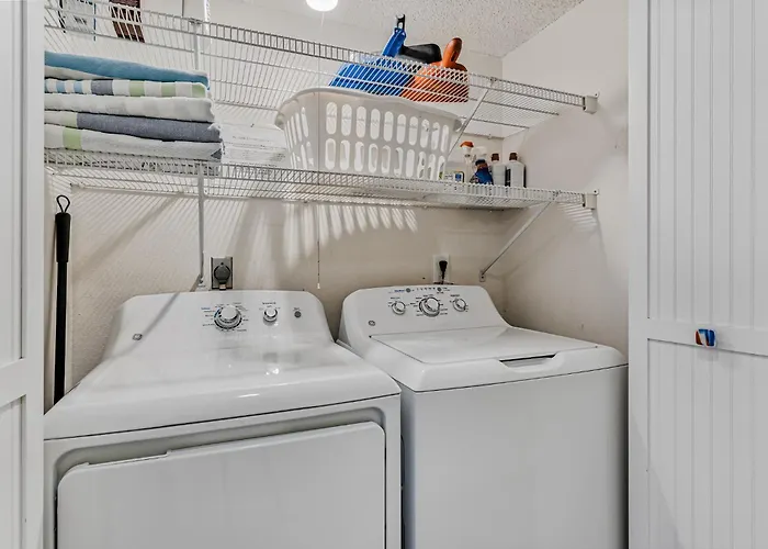 Dollar 311 * Clearwater Beach